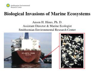Biological Invasions of Marine Ecosystems Anson H. Hines, Ph. D.