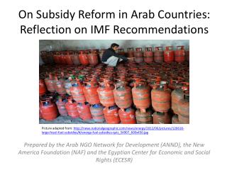 On Subsidy Reform in Arab Countries: Reflection on IMF Recommendations