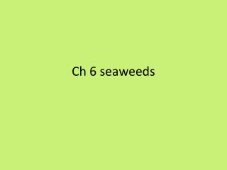 Ch 6 seaweeds