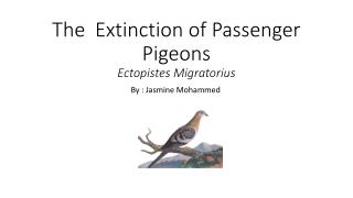 The Extinction of P assenger Pigeons E ctopistes M igratorius