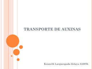 TRANSPORTE DE AUXINAS