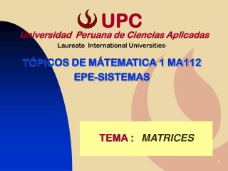 TEMA : MATRICES