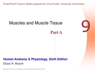 Muscles and Muscle Tissue