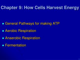 Chapter 9: How Cells Harvest Energy