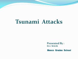 Tsunami Attacks