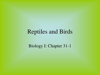 Reptiles and Birds