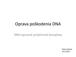 Oprava po š kodenia DNA