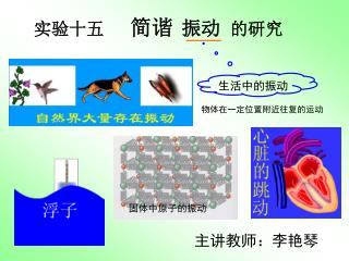 实验十五 简谐 振动 的研究