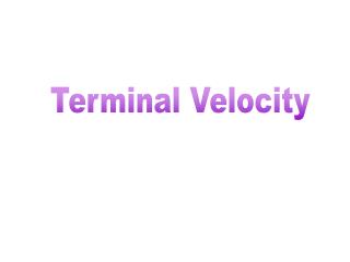 Terminal Velocity