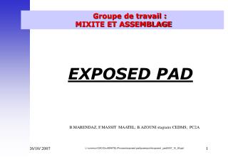 Groupe de travail : 			MIXITE ET ASSEMBLAGE