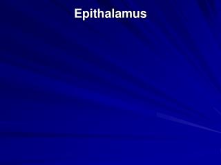 Epithalamus