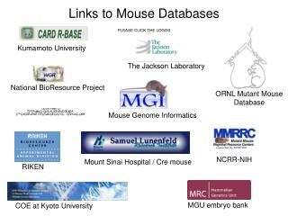 Links to Mouse Databases
