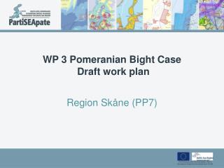 WP 3 Pomeranian Bight Case Draft work plan