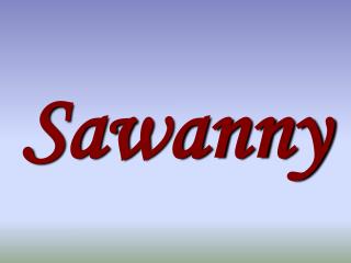 Sawanny