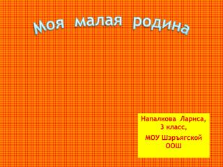 Напалкова Лариса, 3 класс, МОУ Шэръягской ООШ