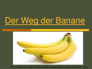 Der Weg der Banane