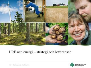 LRF och energi – strategi och leveranser