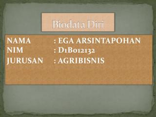 Biodata Diri