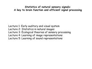 Statistics of natural sensory signals: A key to brain function and efficient signal processing