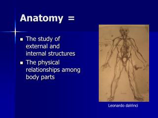 Anatomy	=