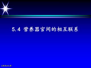 5.4 营养器官间的相互联系