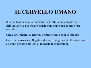 IL CERVELLO UMANO