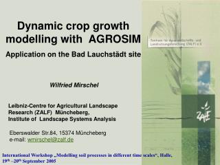 Dynamic crop growth modelling with AGROSIM Application on the Bad Lauchstädt site