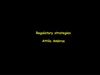 Regulatory strategies Attila Ambrus