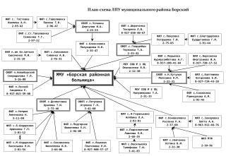 План-схема ЛПУ муниципального района Борский