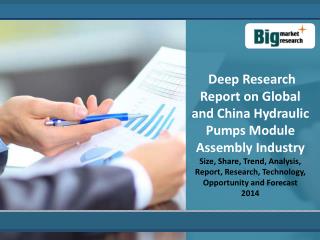  Deep Research Report on Global and China Hydraulic Pumps Module Assembly Industry