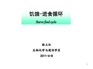 饥饿 - 进食循环 Starve-feed cycle