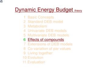 Dynamic Energy Budget theory