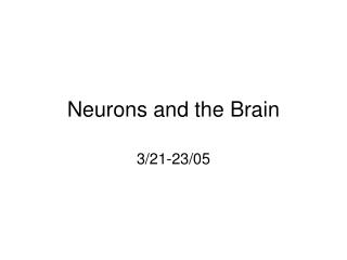 Neurons and the Brain