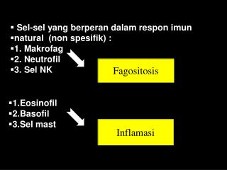 Sel-sel yang berperan dalam respon imun natural (non spesifik) : 1. Makrofag 2. Neutrofil