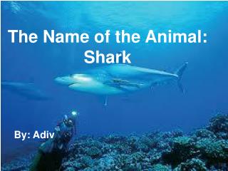 The Name of the Animal: Shark