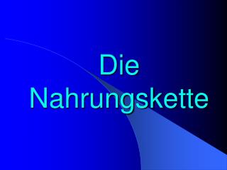 Die Nahrungskette