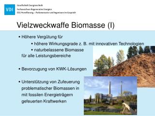 Vielzweckwaffe Biomasse (I)