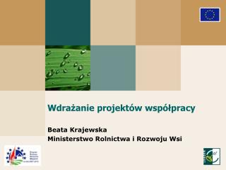 Wdrażanie projektów współpracy