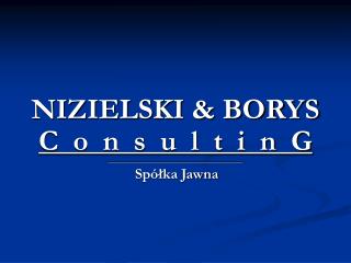 NIZIELSKI &amp; BORYS C o n s u l t i n G