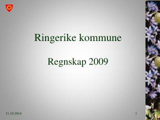 Ringerike kommune Regnskap 2009