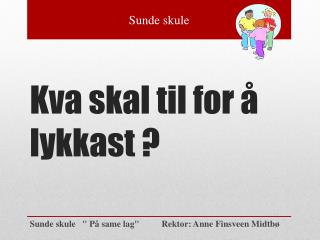 Kva skal til for å lykkast ?