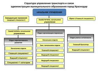 Структура управления транспорта и связи администрации муниципального образования город Краснодар