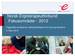 Norsk Ergoterapeutforbund Fokusområder - 2012