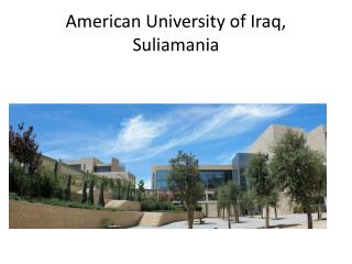 American University of Iraq, Suliamania