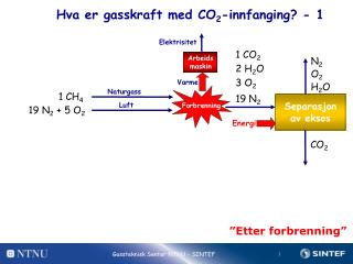 Hva er gasskraft med CO 2 -innfanging? - 1