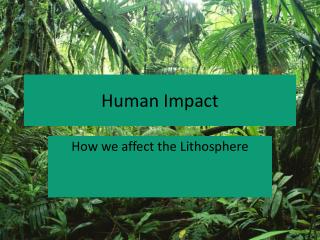 Human Impact