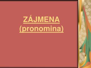 ZÁJMENA (pronomina)