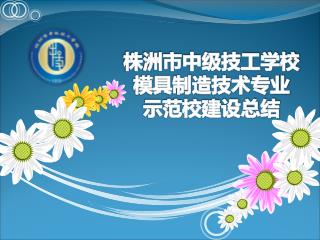 株洲市中级技工学校 模具制造技术专业 示范校建设总结