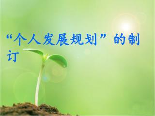 “ 个人发展规划”的制订