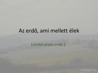 Az erdő, ami mellett élek